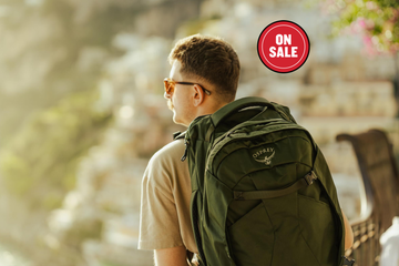 Back view of a person with a green backpack against a scenic backdrop.