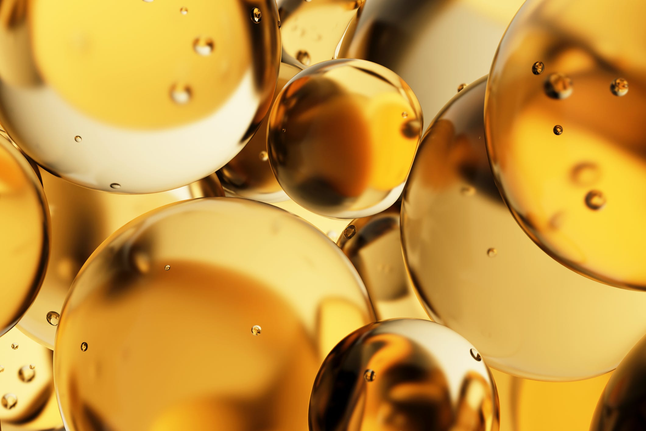 algae oil supplements