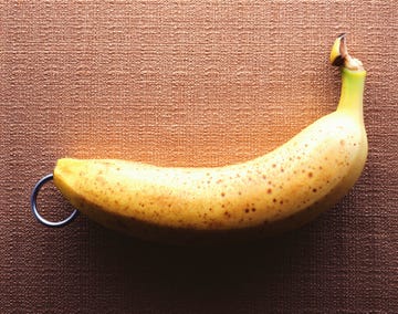 Banana pierced with earring