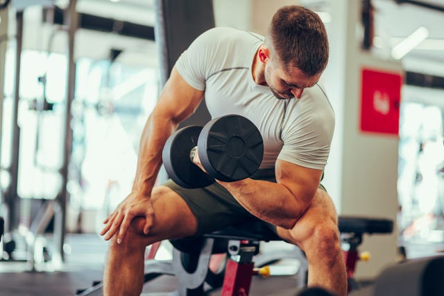 arm muscle