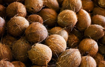 man has sex with coconut man has sex with coconut