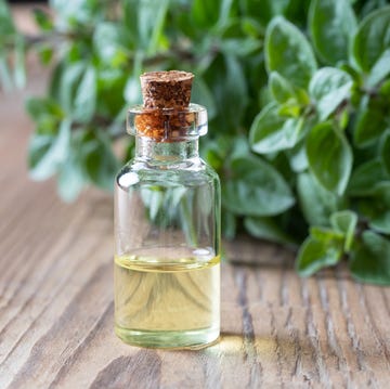 A bottle of oregano essential oil with fresh oregano a bottle of oregano essential oil with fresh oregano