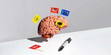 a brain with different colored flags a brain with different colored flags