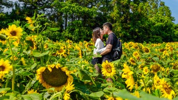 Lovely couple lovely couple