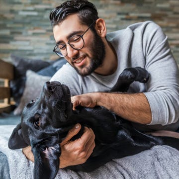 Smiling man stroking his dog on the couch at home smiling man stroking his dog on the couch at home